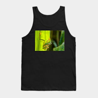 Cute Monkey Treefrog in the Rainforest Tank Top